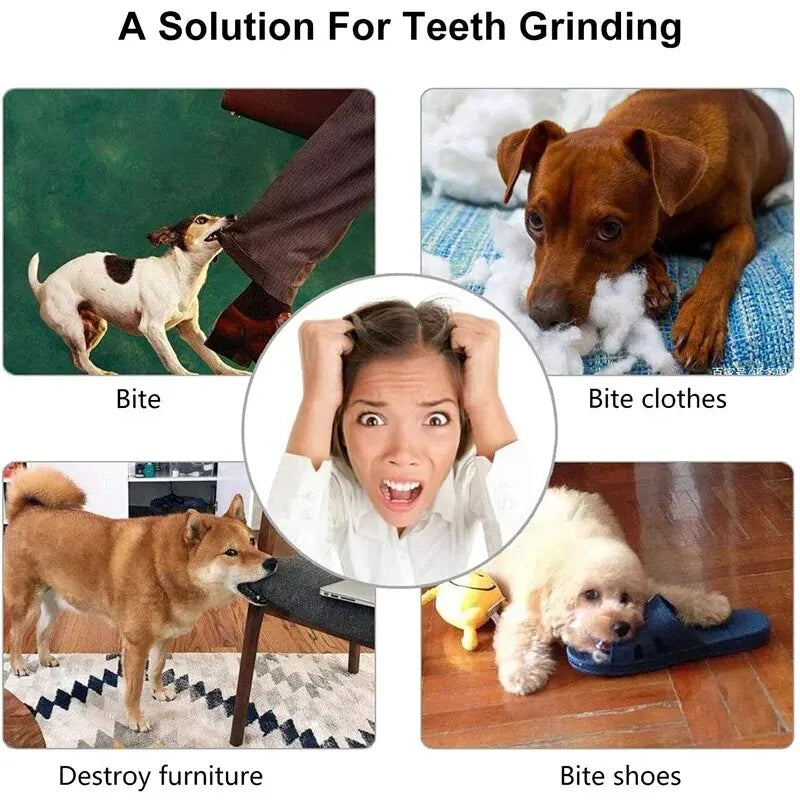 Balle de jouet pour chien, balle non toxique résistante aux morsures pour chiens et chiots, balle à friandises et à mâcher pour le nettoyage des dents des animaux de compagnie