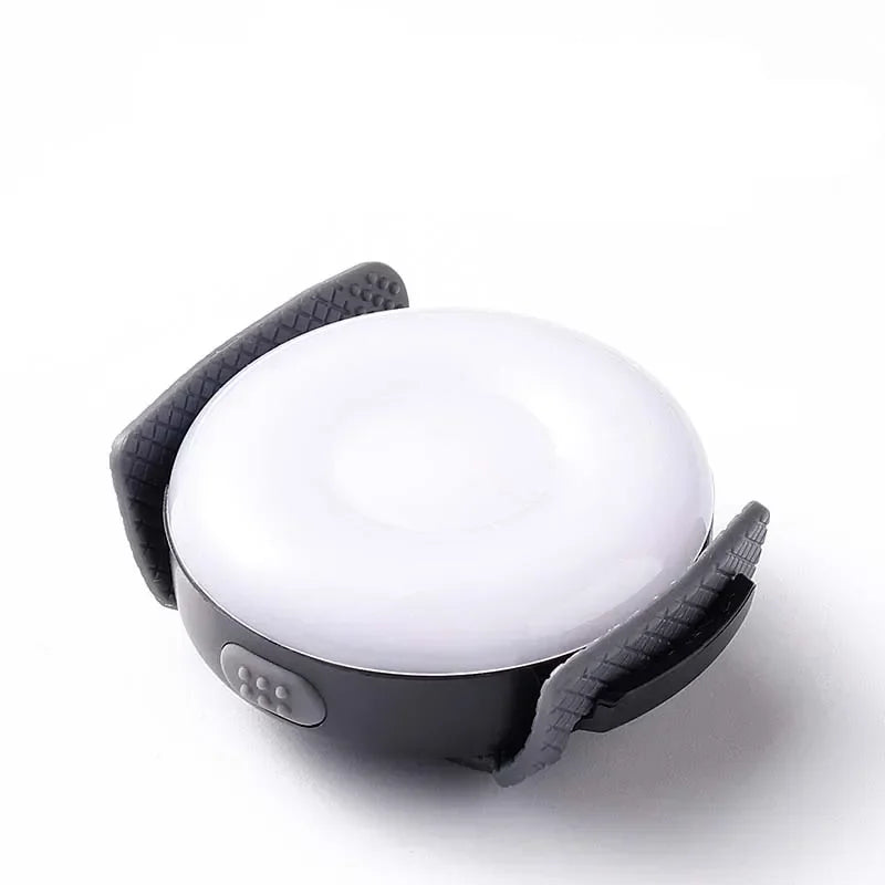 Truelove Pet Outdoor Waterproof Safety LEDLIGHT  Flash Light Pet Accessories Dog Products TLD19103