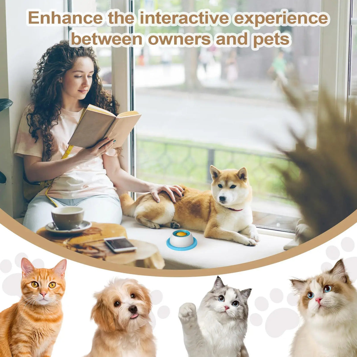 Accessoires pour l'alimentation des animaux de compagnie Jouets à friandises pour chiens Jouets éducatifs pour chiots qui s'ennuient Distributeur lent de nourriture pour chiots pour une alimentation saine Caisse de nourriture