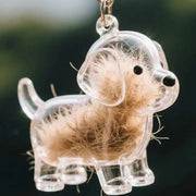 Clear Pet Hair Keychain Cute Dog Fur Keepsake Holder Creative Transparent Pet Hair Memorial Collection Pendant For Dog/Cat