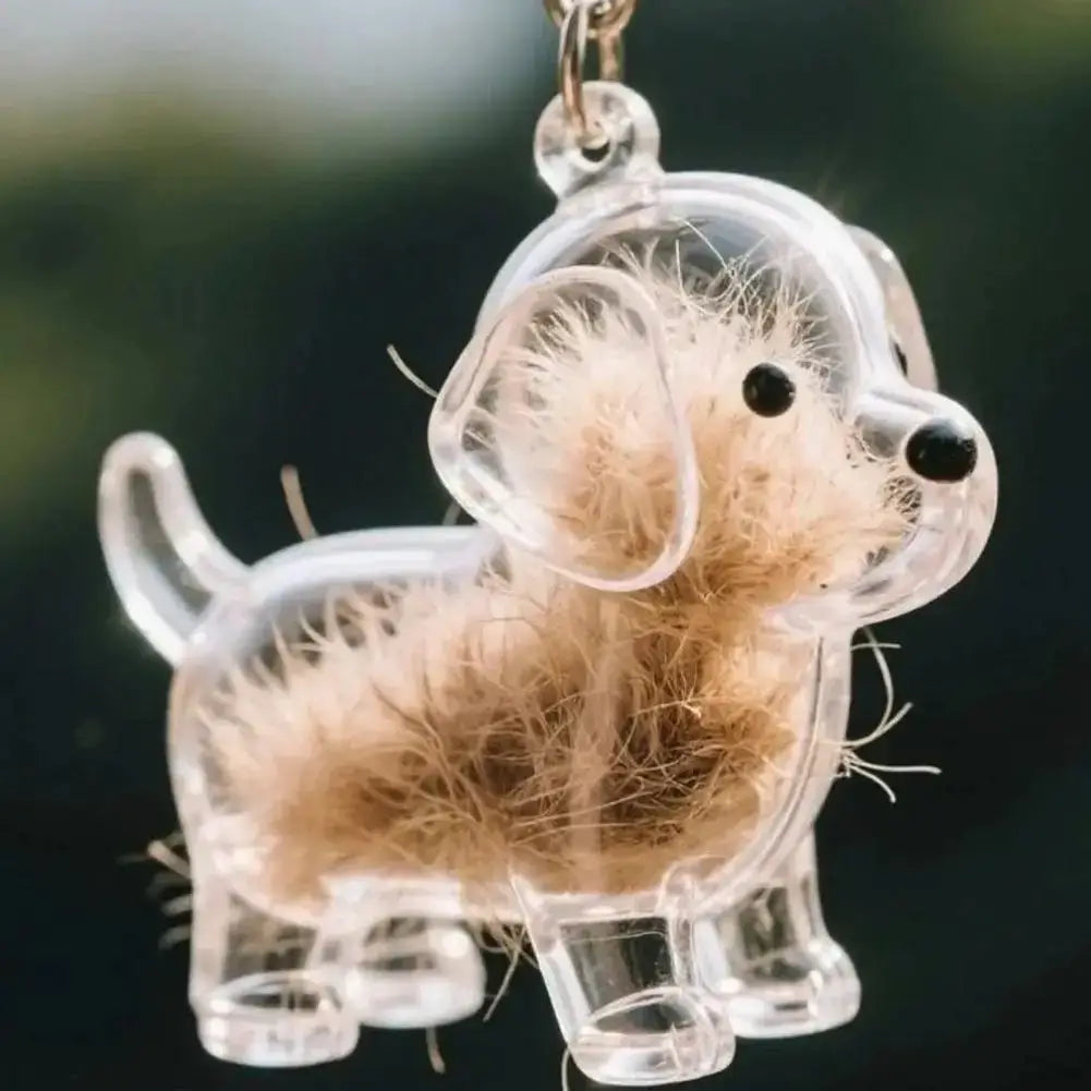 Clear Pet Hair Keychain Cute Dog Fur Keepsake Holder Creative Transparent Pet Hair Memorial Collection Pendant For Dog/Cat