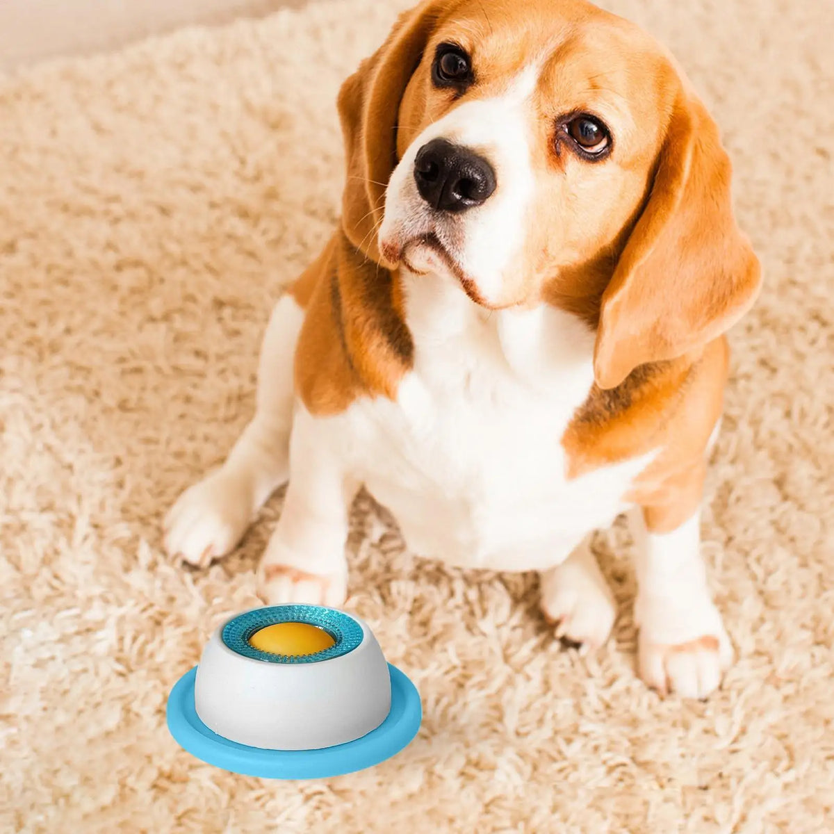 Accessoires pour l'alimentation des animaux de compagnie Jouets à friandises pour chiens Jouets éducatifs pour chiots qui s'ennuient Distributeur lent de nourriture pour chiots pour une alimentation saine Caisse de nourriture