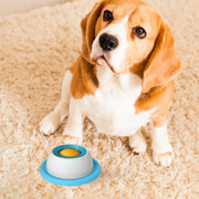 Accessoires pour l'alimentation des animaux de compagnie Jouets à friandises pour chiens Jouets éducatifs pour chiots qui s'ennuient Distributeur lent de nourriture pour chiots pour une alimentation saine Caisse de nourriture