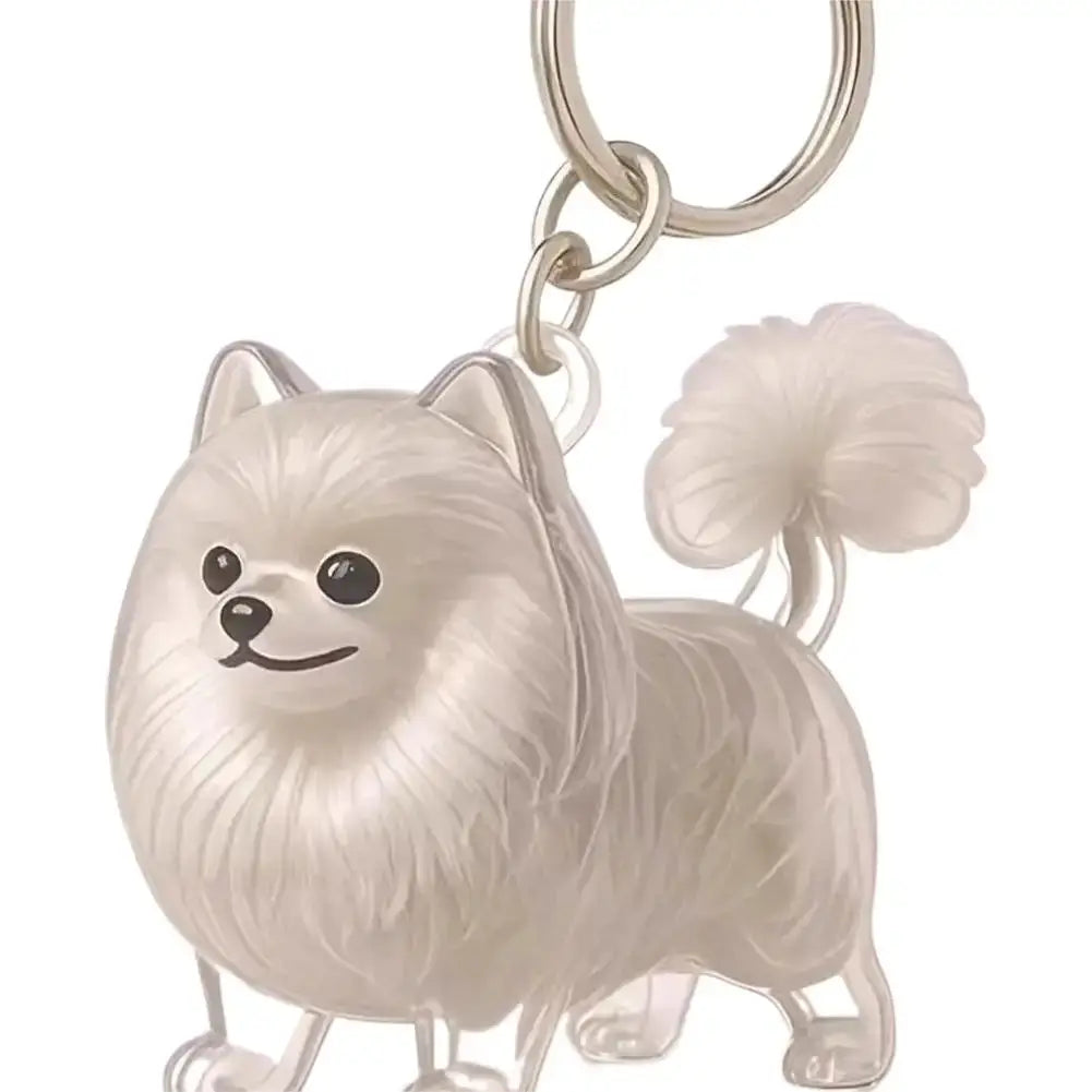 Clear Pet Hair Keychain Cute Dog Fur Keepsake Holder Creative Transparent Pet Hair Memorial Collection Pendant For Dog/Cat