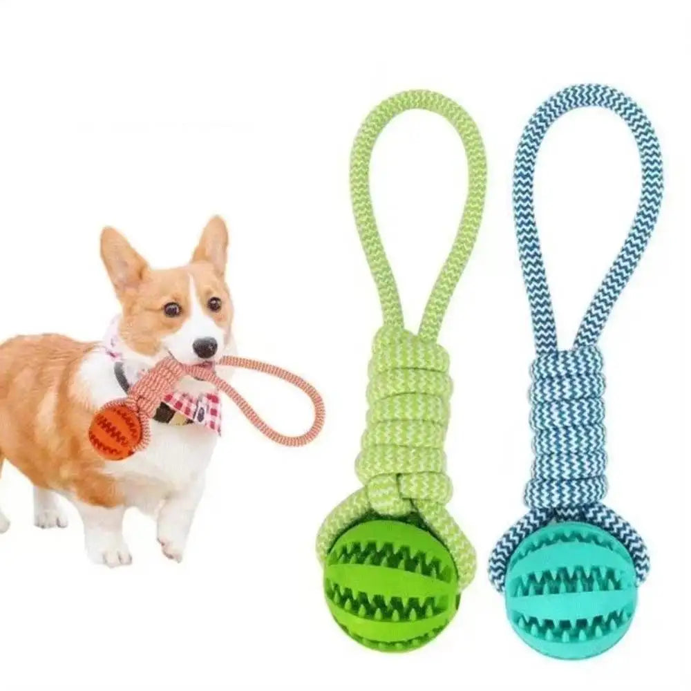 Pet Toy Dog Bite-Resistant Cotton Rope Hand-Held Treat Ball for Teeth Cleaning and Training, Interactive Educational Toy Ball