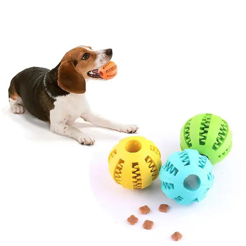Balle de jouet pour chien, balle non toxique résistante aux morsures pour chiens et chiots, balle à friandises et à mâcher pour le nettoyage des dents des animaux de compagnie