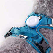 Truelove Pet Outdoor Waterproof Safety LEDLIGHT  Flash Light Pet Accessories Dog Products TLD19103