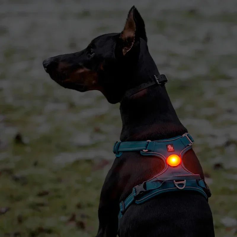 Truelove Pet Outdoor Waterproof Safety LEDLIGHT  Flash Light Pet Accessories Dog Products TLD19103