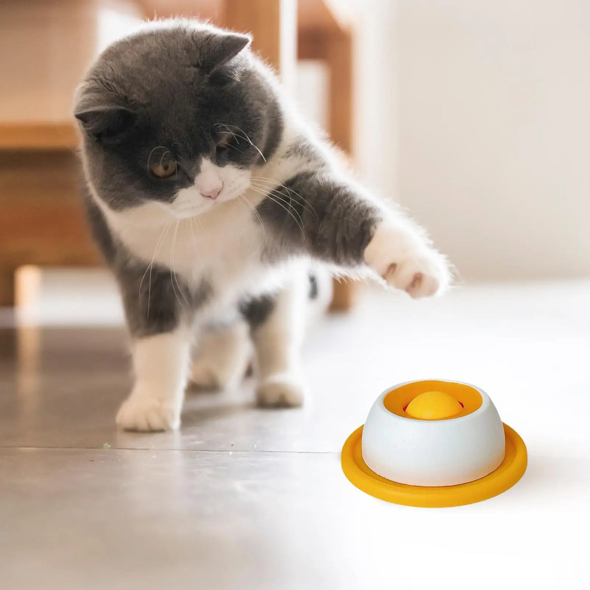 Accessoires pour l'alimentation des animaux de compagnie Jouets à friandises pour chiens Jouets éducatifs pour chiots qui s'ennuient Distributeur lent de nourriture pour chiots pour une alimentation saine Caisse de nourriture