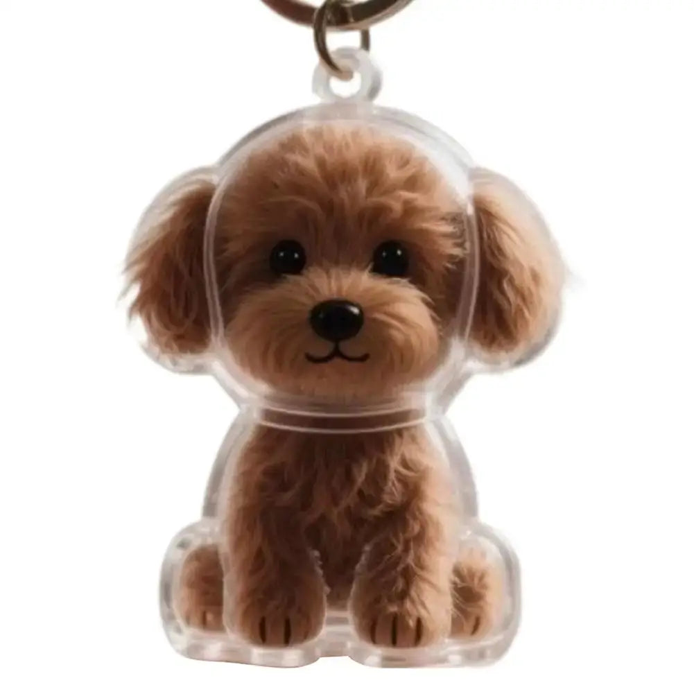 Clear Pet Hair Keychain Cute Dog Fur Keepsake Holder Creative Transparent Pet Hair Memorial Collection Pendant For Dog/Cat