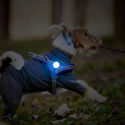 Truelove Pet Outdoor Waterproof Safety LEDLIGHT  Flash Light Pet Accessories Dog Products TLD19103