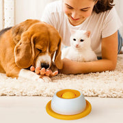 Accessoires pour l'alimentation des animaux de compagnie Jouets à friandises pour chiens Jouets éducatifs pour chiots qui s'ennuient Distributeur lent de nourriture pour chiots pour une alimentation saine Caisse de nourriture
