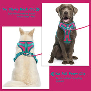 Splicing Colors Breathable for Medium No Pull Dog Harness for Large Small Dogs Adjustable Chest Strap Dog Harness Personalized