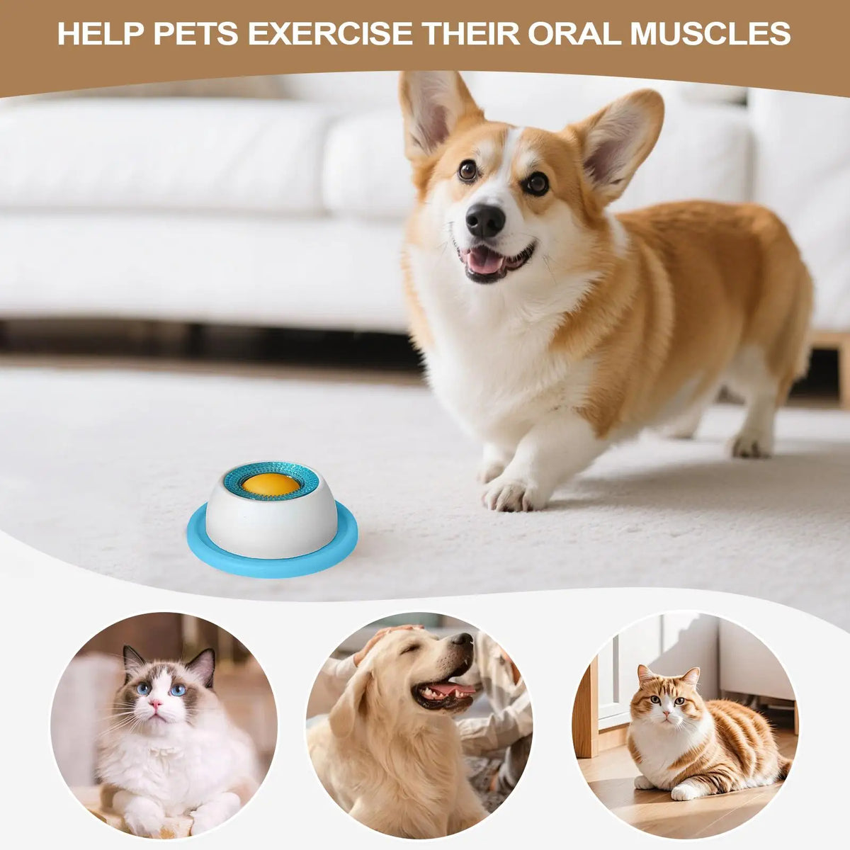 Accessoires pour l'alimentation des animaux de compagnie Jouets à friandises pour chiens Jouets éducatifs pour chiots qui s'ennuient Distributeur lent de nourriture pour chiots pour une alimentation saine Caisse de nourriture