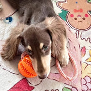 Pet Toy Dog Bite-Resistant Cotton Rope Hand-Held Treat Ball for Teeth Cleaning and Training, Interactive Educational Toy Ball