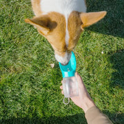 Bouteille d'eau pour chien 300ML Gamelle pour chiot pour petits et moyens chiens et chats Randonnée Mangeoire portable pour chat Accessoires Golden Retriever